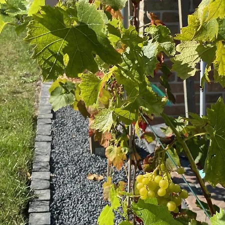 Gaestehaus Roggenhorst - Aufwaendig Saniertes Haus, 200 Qm Wohnflaeche, 3 Baeder *