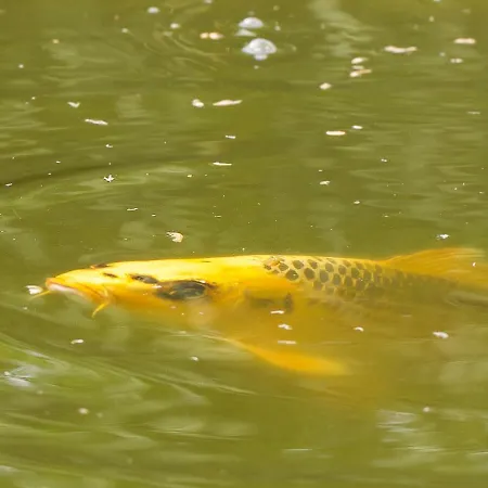 Gaestehaus Roggenhorst - Aufwaendig Saniertes Haus, 200 Qm Wohnflaeche, 3 Baeder * リューベック