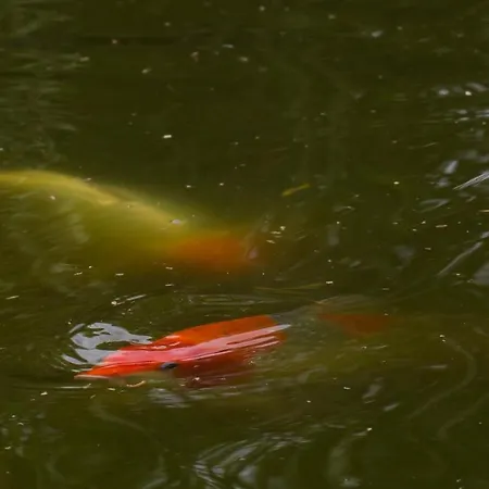 Gaestehaus Roggenhorst - Aufwaendig Saniertes Haus, 200 Qm Wohnflaeche, 3 Baeder بيت للعطل لوبيك